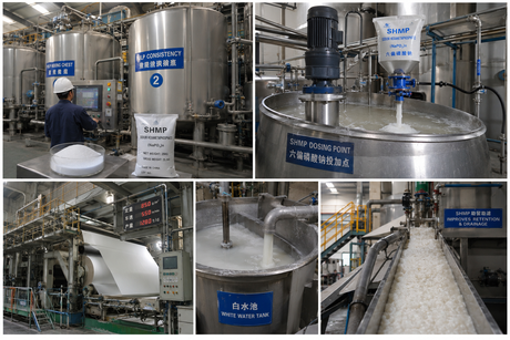 Sodium Hexametaphosphate SHMP .png