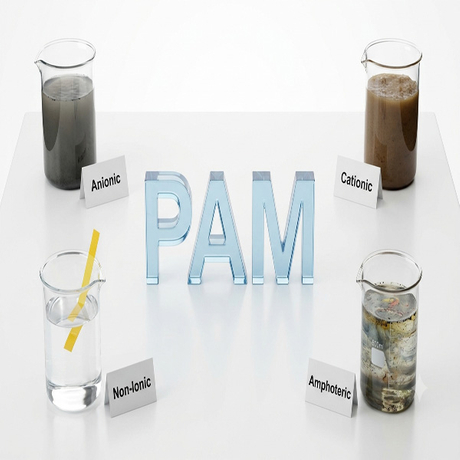 PAM.jpg